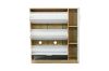 Picture of YORU 100 1-Door 3-Drawer Shoe Cabinet (Oak & White)
