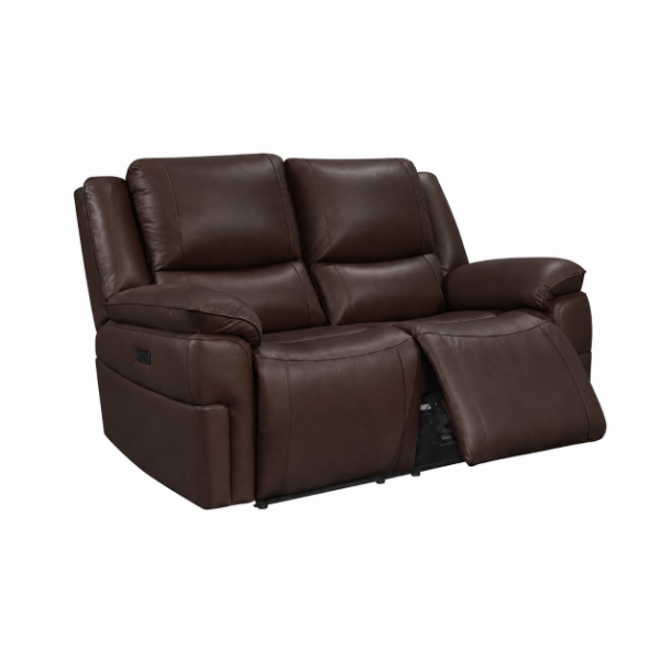 Picture of MCCRAE Genuine Leather 2 Seater Sofa (Brown)