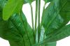 Picture of 353-002 Artificial Green Traveler's Palm Plant - H150cm