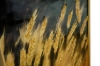 Picture of 357-004 Decorative Wall Art with Golden Frame (40×60cm) - Wheat Ear