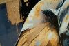 Picture of 357-009 Decorative Wall Art with Golden Frame (90x60cm)