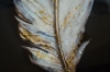 Picture of 357-015 Decorative Wall Art with Golden Frame (40x60cm) - White Feather