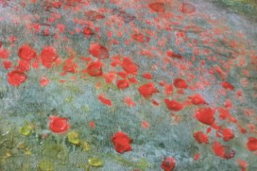 Picture of 367-009 Hand-Finished Canvas Decorative Wall Art (70×70cm) - Wild Poppies, Near Argenteuil (1873) by Claude Monet 