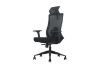 Picture of MAVEN High Back Office Chair with Adjustable Headrest, Lumbar Support & 3D Armrests