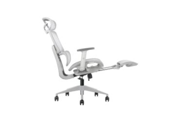 Picture of FLEXO Height Adjustable Mesh Seat Office Chair with Adjustable Headrest & Backrest, Seat Slider (Grey)