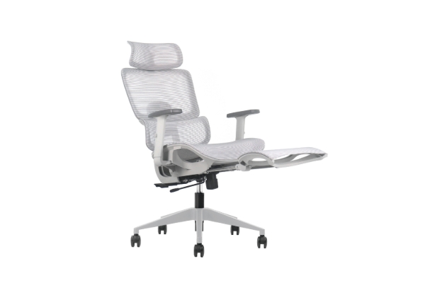 Picture of FLEXO Height Adjustable Mesh Seat Office Chair with Adjustable Headrest & Backrest, Seat Slider (Grey)
