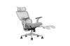 Picture of FLEXO Pro Height Adjustable Mesh Office Chair with Adjustable Headrest & Backrest, 5D Armrests and Seat Slider (Grey)