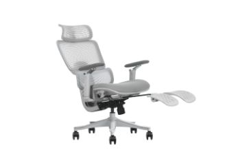 Picture of FLEXO Pro Height Adjustable Mesh Office Chair with Adjustable Headrest & Backrest, 5D Armrests and Seat Slider (Grey)