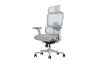 Picture of FLEXO Pro Height Adjustable Mesh Office Chair with Adjustable Headrest & Backrest, 5D Armrests and Seat Slider (Grey)