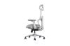 Picture of FLEXO Pro Height Adjustable Mesh Office Chair with Adjustable Headrest & Backrest, 5D Armrests and Seat Slider (Grey)