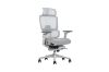 Picture of FLEXO Pro Height Adjustable Mesh Office Chair with Adjustable Headrest & Backrest, 5D Armrests and Seat Slider (Grey)