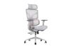 Picture of NEXEN Pro High Back Office Chair with Adjustable Headrest, Lumbar Support, 3D Armrests and Seat Slider