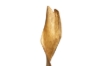 Picture of 650-047 Abstract Solid Teak Wood Sculpture (16cmx100cm)