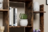Picture of ARKIO 2-Drawer Bookcase/Display Shelves