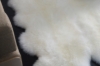 Picture of [FLOOR MODEL CLEARANCE] 388-005 Natural Long Wool Sheepskin Rug - (160x60cm)