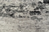 Picture of ELEMENT 230x160/300x240 Brilliant Rug (Grey Marble Print)