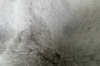 Picture of MELOR 230x160/300x200 Bubble Rug