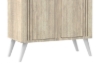 Picture of KELTON 2-Door Shoe Cabinet