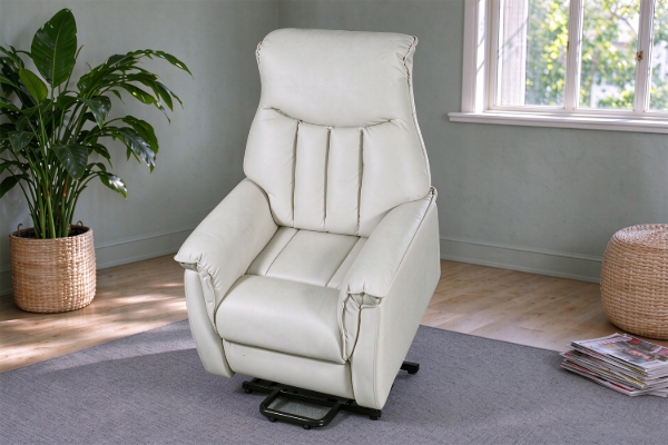 Picture of WILLETA Air Leather Power Lift Chair